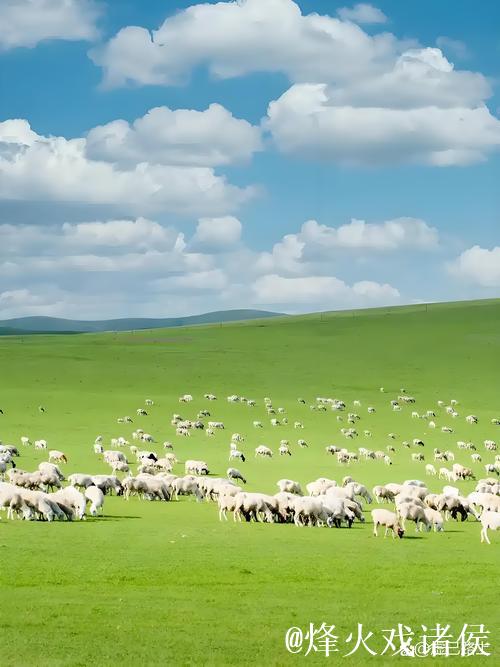 畅游青青草原网：寻觅自然之美